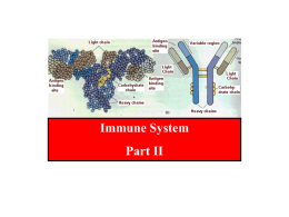 ABO blood groups and the immune system