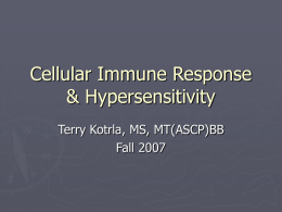 Cellular Immune Response