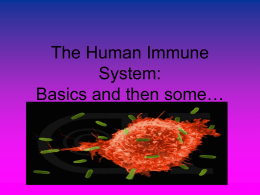 The Human Immune System: Basics and then some…