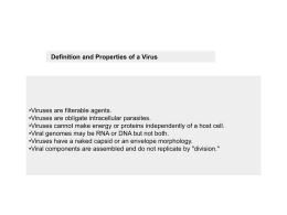 Prevention and treatment of viral infections1.75 MB