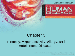 Immunity_Hypersensitivity_Allergy_and_Autoimmune_Diseases