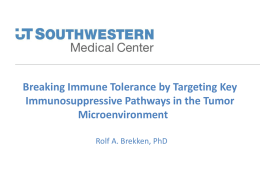 Breaking Immune Tolerance by Targeting Key