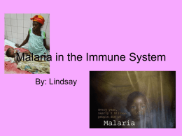 Malaria in the Immune System