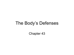The Body`s Defenses