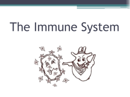 The Immune System - Ms. Lin`s Science Class