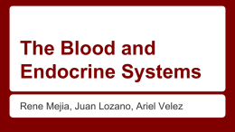 The Blood and Endocrine Systems