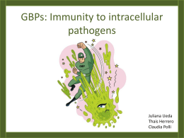GBPs: Immunity to intracellular pathogens