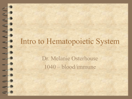 Lab Dx Day 1 Intro to Hematopoietic System
