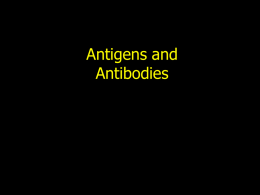 Antigens and Antigen Receptors (lecture notes pages 19-24)