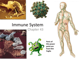 Immune System - Madeira High School