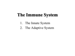 Immune System - College of Charleston