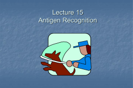 Lecture 4 Antigen Recognition