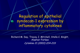Regulation of epithelial syndecan