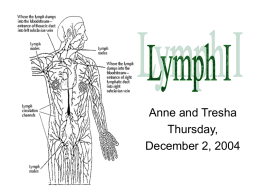 Lymph I