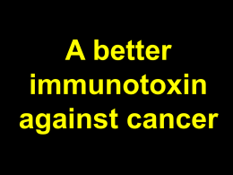 A Better Immunotoxin Against Cancer - FLC Mid