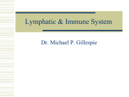 Lymphatic & Immune System
