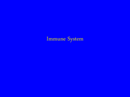 Immune System