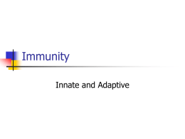 Immunity - UNT's College of Education
