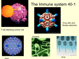 Immune system - Sonoma Valley High School