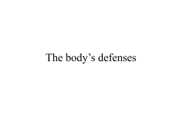 Lecture 7: The body’s defenses