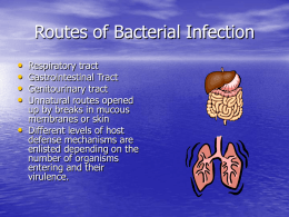 Routes of Bacterial Infection