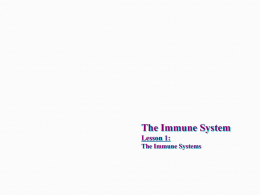 The Immune Systems
