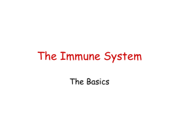 Immune-system-powerpoint