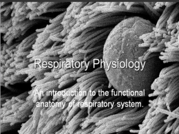 Introduction Of Respiratory Physiology By Prof Samia Jawed 02