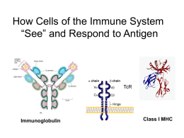Membrane Receptors for Antigen