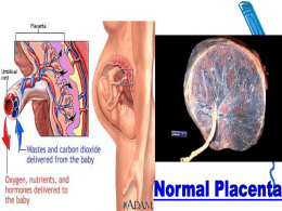 Fine Needle Aspiration Biopsy of the Liver