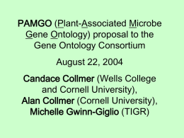 PAMGO - Gene Ontology Consortium