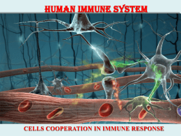 08 Human immune system