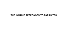 THE IMMUNE RESPONSES TO PARASITES Unicellular parasites