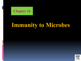 Innate and Adaptive Immune Responses to Viruses