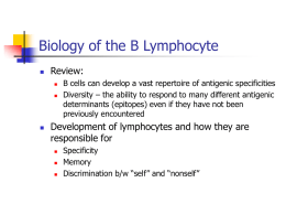 Biology of the B Lymphocyte