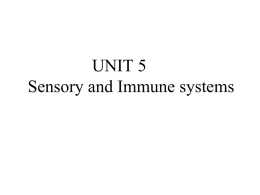 Sensory and Immune systems