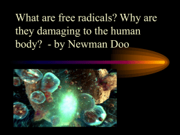 What are free radicals? Why are they damaging to the human body?