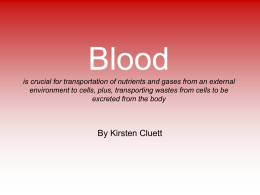 2. Blood Slideshow by Kirsten Cluett - Jannali