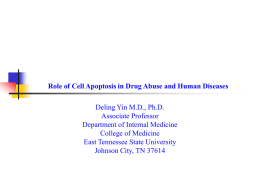 Role of Cell Apoptosis in Drug Abuse and Human