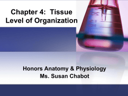Tissue and Inflammation Powerpoint