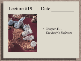 Lecture #19 Date ______