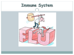 the immune system phagocytosis antibody function