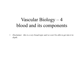 vasculature-lecture-4