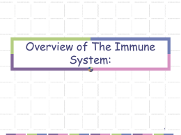 2-immune system