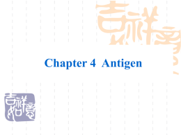 Chapter 13 Antigen