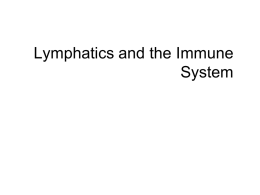 Lymphatic and Immune