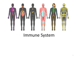 Bio Immune System 2013