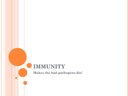 Immunity - sjebiol