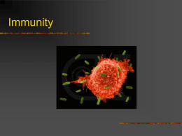 Immunity Power Point