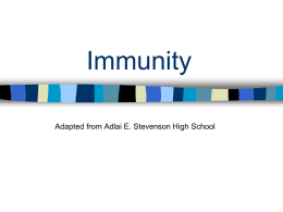 Immunity - Honors
